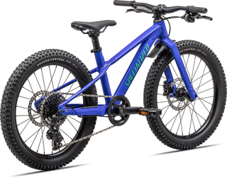 Specialized Riprock 20 - Gloss Sphr Egrn