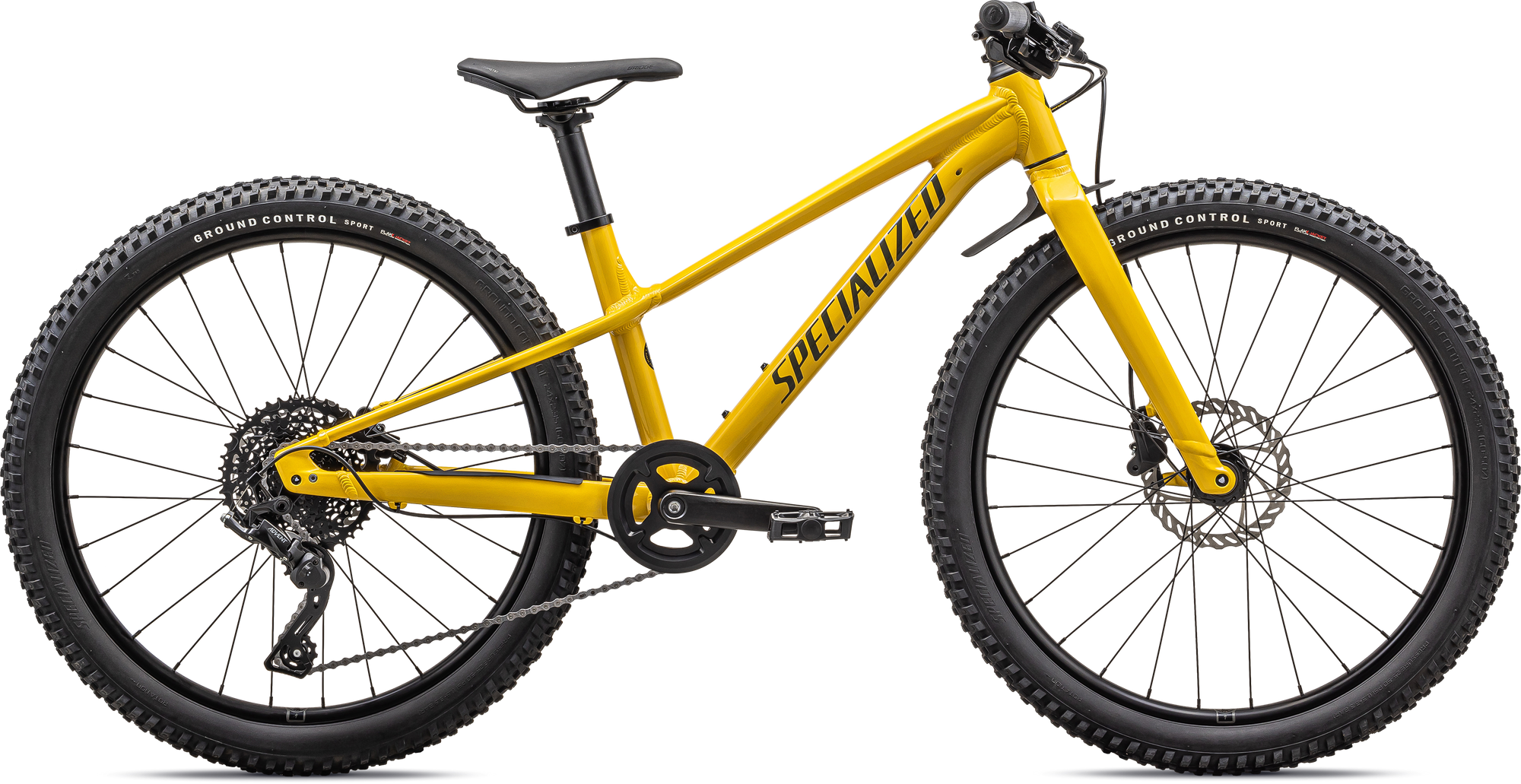 Specialized Riprock 24 - Gloss Slphr Oakgrn