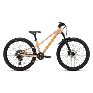Specialized Riprock Comp 24 - Gloss Photon Tint Over Flake Silver / Orange Zest