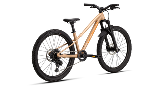 Specialized Riprock Comp 24 - Gloss Photon Tint Over Flake Silver / Orange Zest
