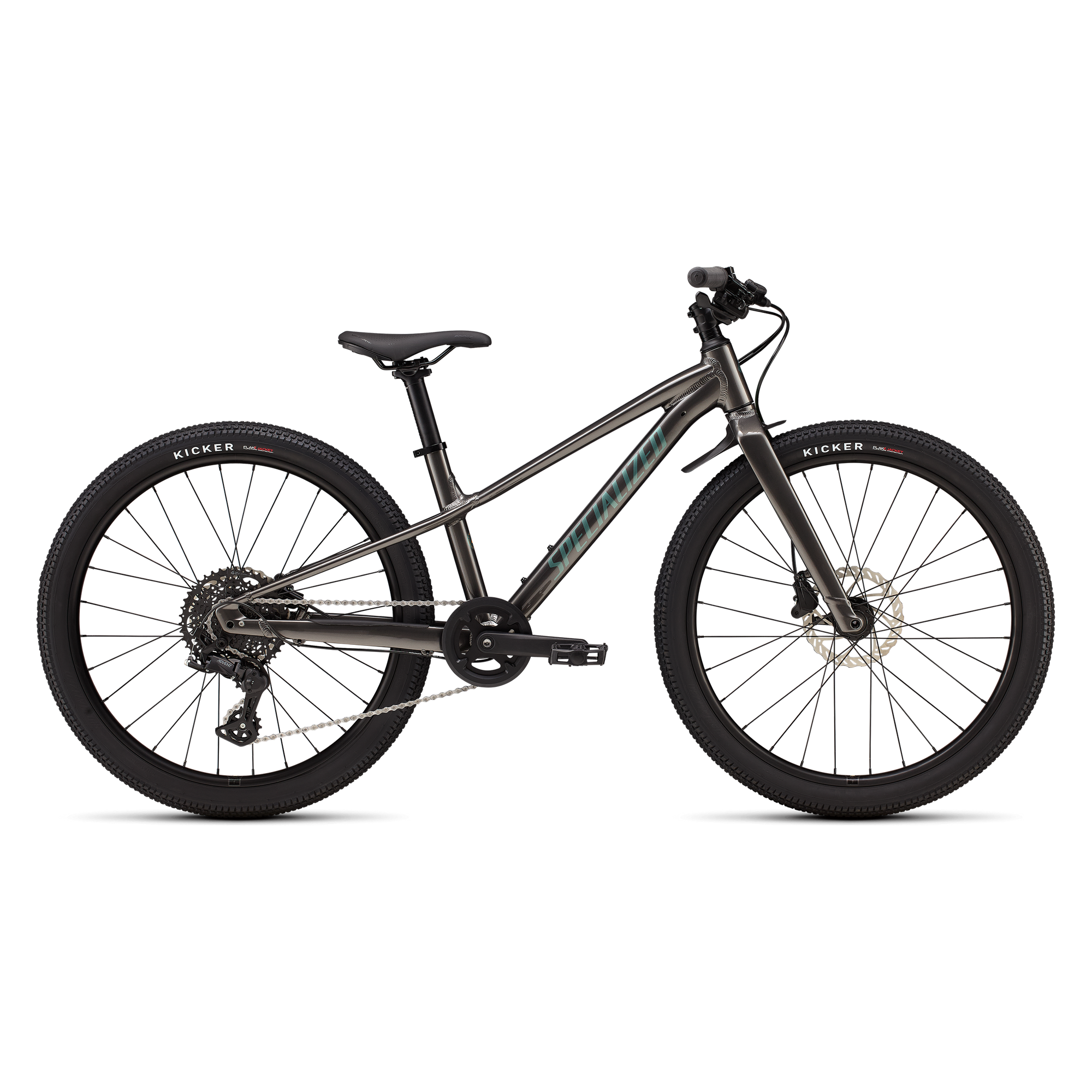 Specialized Riprock 24 - Gloss Smoke / Fjord Metallic