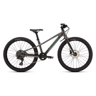Specialized Riprock 24 - Gloss Smoke / Fjord Metallic
