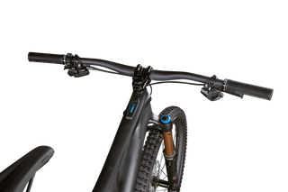 Specialized S-Works Turbo Levo SL - Carbon / Bronze Foil / Gloss Carbon