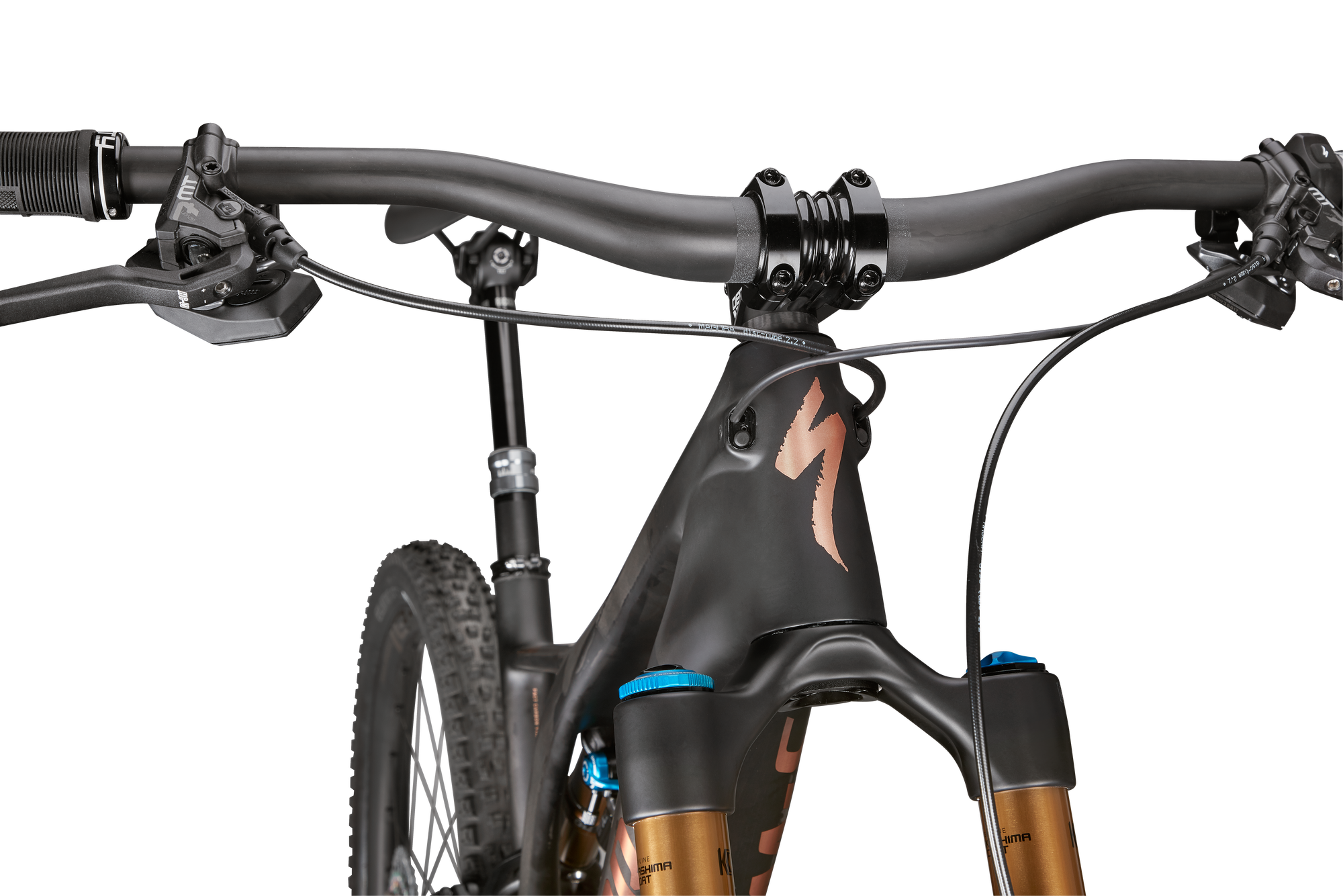 Specialized S-Works Turbo Levo SL - Carbon / Bronze Foil / Gloss Carbon