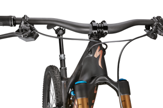 Specialized S-Works Turbo Levo SL - Carbon / Bronze Foil / Gloss Carbon