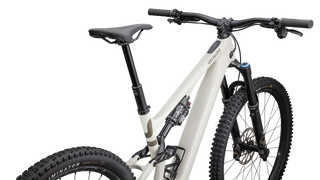 Specialized Turbo Levo SL 2 Expert Carbon - Gloss Birch / Taupe
