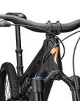 Specialized Turbo Levo SL 2 Expert - Carbon / Obsidian / Bronze