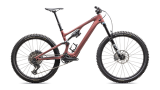 2025 Specialized Turbo Levo SL 2 Comp