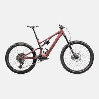 2025 Specialized Turbo Levo SL 2 Comp
