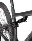 Specialized S-Works Epic - Satin/Gloss Carbon/Color Run Silver - Green Chameleon