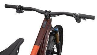 Specialized S-Works Turbo Kenevo SL 2 - Gloss Rusted Red / Redwood / White Mountains