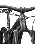 Specialized Turbo Kenevo Comp - Gloss Dark Moss Green / Oak Green