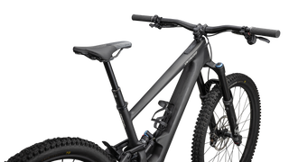 Specialized Turbo Kenevo SL 2 Expert - Satin Carbon / Birch