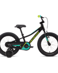 Specialized Riprock Coaster 16 - Tarmac Black / Emerald / Hyper Reflective