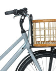 Basil Rear Green Life Rattan Large 30L - Brown