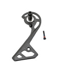 Shimano Ultegra RD-R8000 Outer Plate and Fixing Bolt SS Type