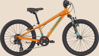 Cannondale Trail 20 Crush