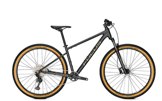 Focus Whistler 3.9 2023