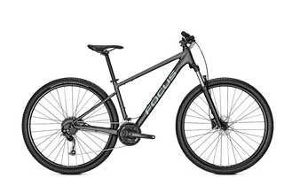 Focus Whistler 3.6 2023