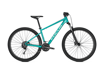 Focus Whistler 3.6 2023