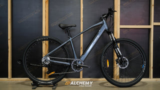 Velectrix Ascent 29" Medium 2022
