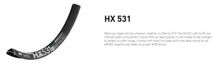 DT Swiss Rim HX531 27.5 30 Wide 28H