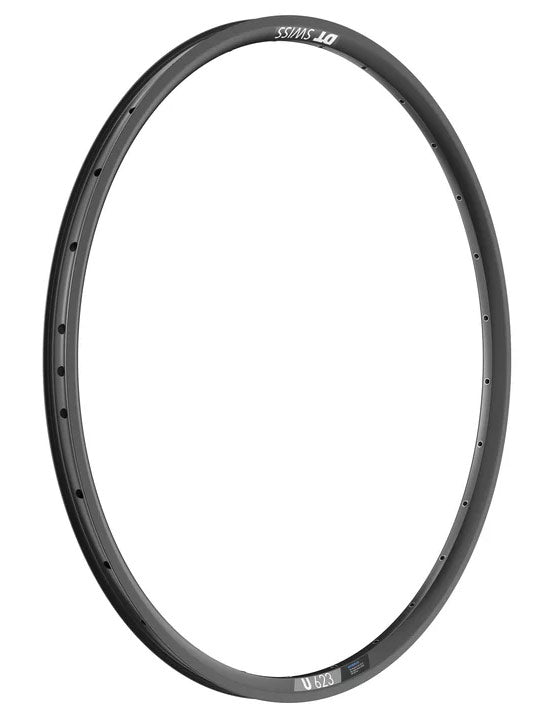 DT Swiss Rim U623 29 25 Wide 32H