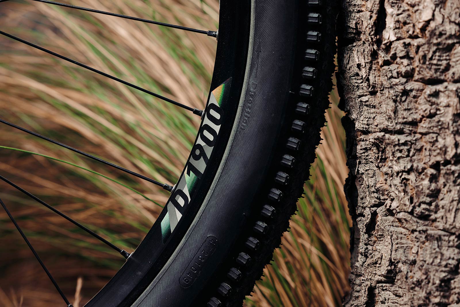 DT Swiss D1900 Classic 26 30 20/110 Dirt Jump (Non-Disc) Wheel