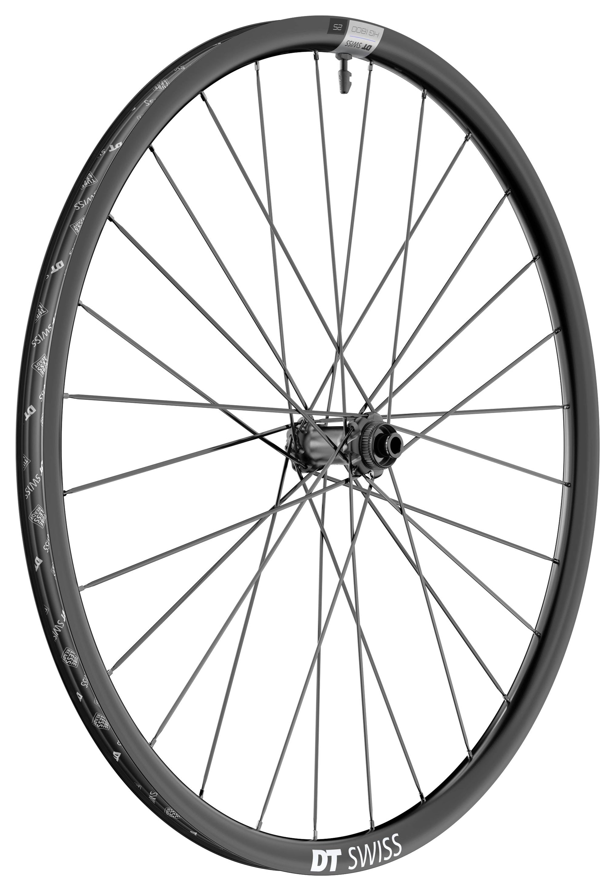 DT Swiss HG1800 Spline 700C 24wd Alloy Disc E-Bike 12/110 Front Wheel