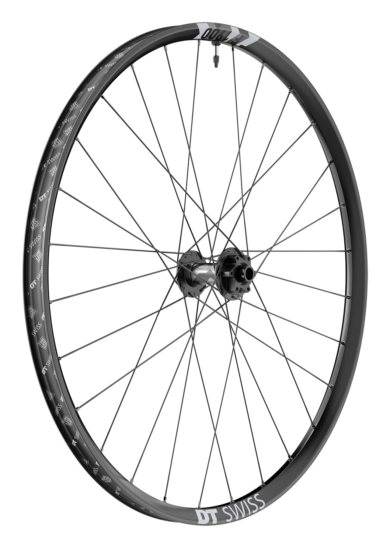 DT Swiss F1900 Classic 29 15110 30wd 6B Front MY24 Wheel