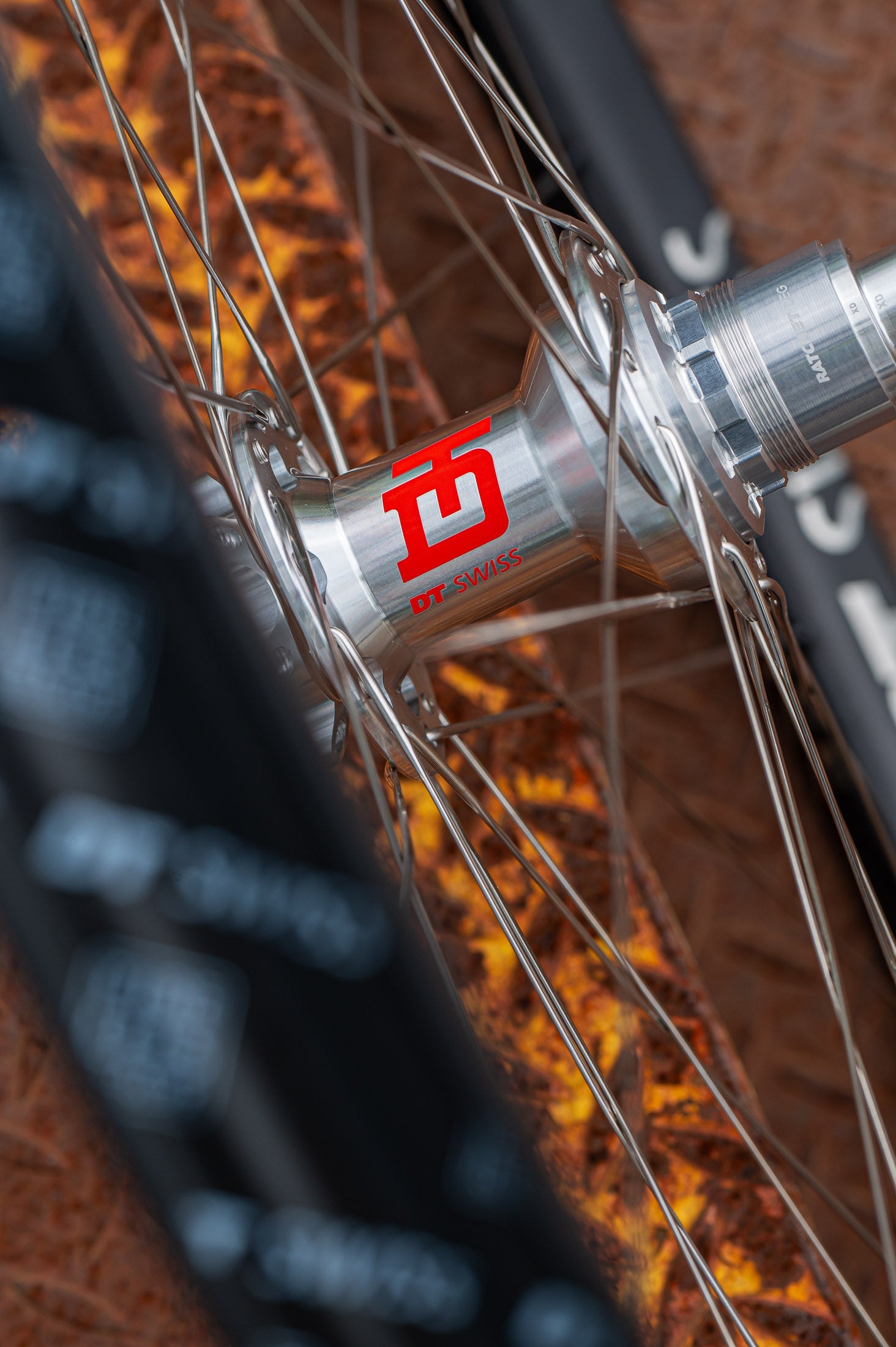 DT Swiss EXC1200 Classic 3DEC 29 IS30 12/148 Asram Deg Wheel