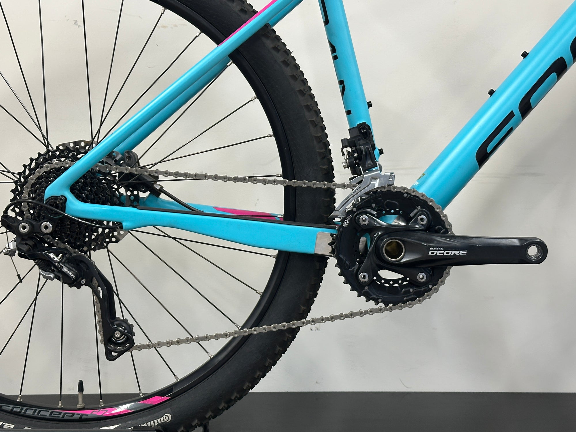 Focus Raven Carbon Large 2019