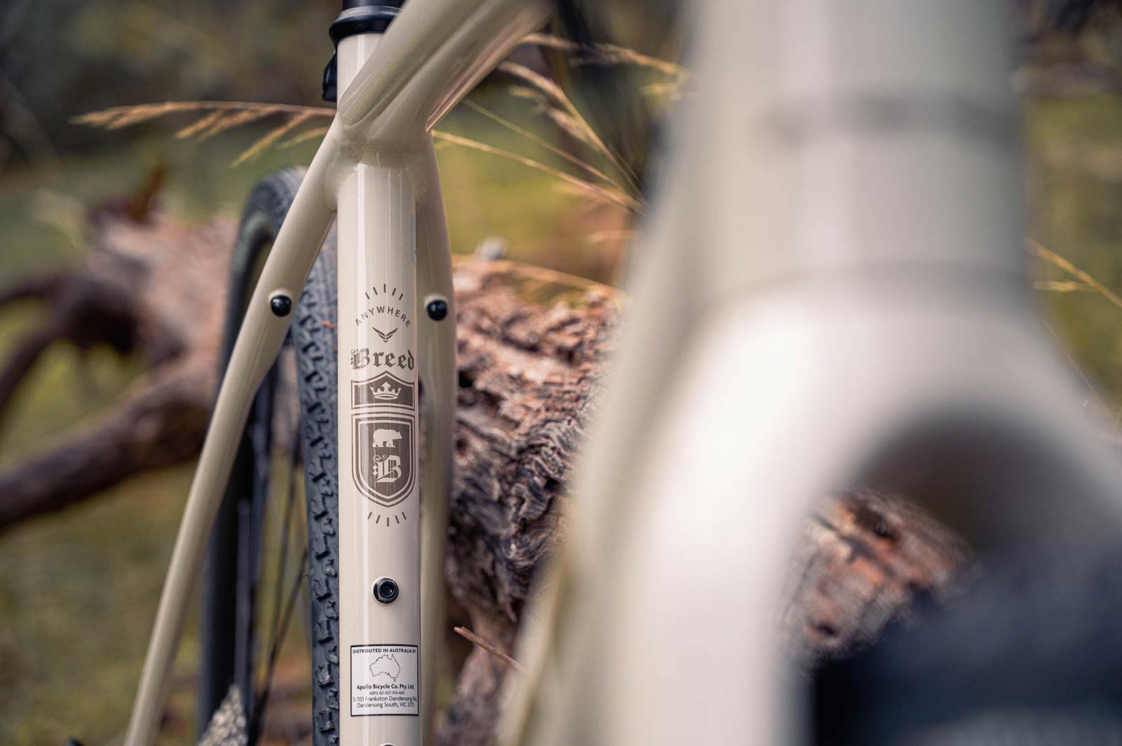 Felt Breed 30 Gravel Bike 51CM - Putty