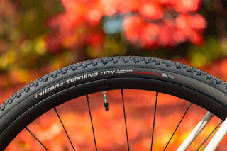Felt Breed 30 Gravel Bike 47CM - Putty