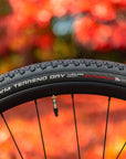 Felt Breed 30 Gravel Bike 51CM - Putty