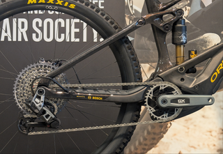 Orbea Wild M11-AXS 2024 Custom Colour