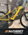 Orbea Wild M-Ltd Medium 2025