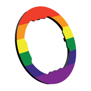 Quad Lock MAG Coloured Rings - Pride Ring