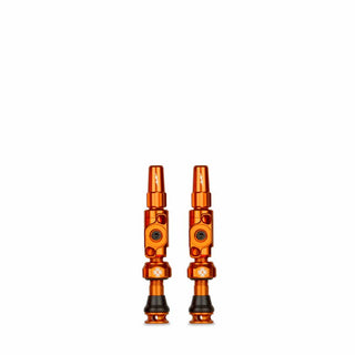 Big Bore Lite TL Valve SM Oran