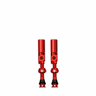 Big Bore Hybrid TL Valve Md Rd