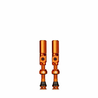 Big Bore Hybrid TL Valve Md Or