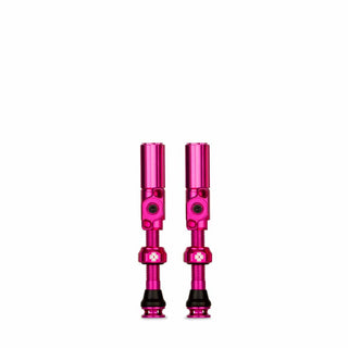 Big Bore Hybrid TL Valve Md Pk