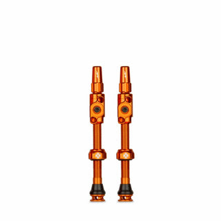 Big Bore Lite TL Valves Lg Ora
