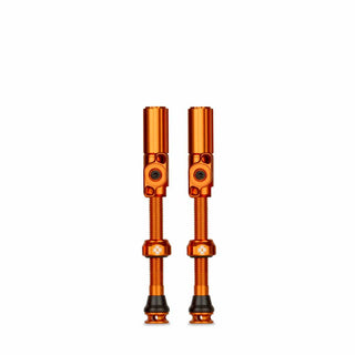 Big Bore Hybrid TL Valve Lg Or