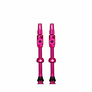 Big Bore Lite TL Valves XL Pnk
