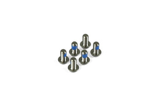 Hope M5 x 10 Torx Head Screw - Titanium Steel 6 Off