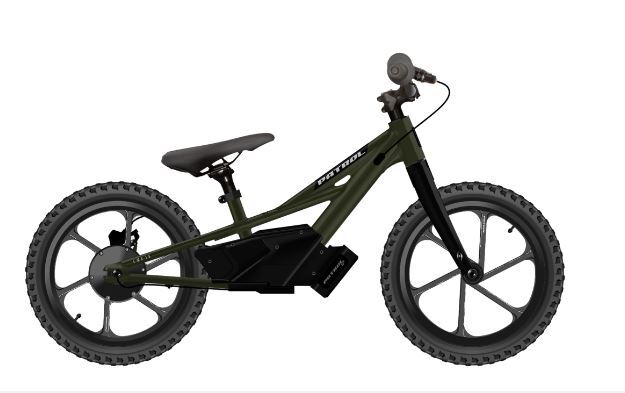 Patrol E-MX 16 (E-Balance) Kids Mountain Bike - Matte Green