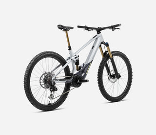 Orbea Wild M-LTD 2024 Custom Colour