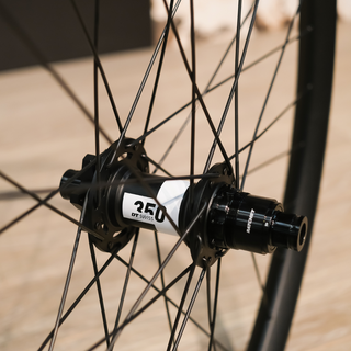 DT SWISS Rear Wheel 350 12/148 Hub / FR541 30W 32H RIM