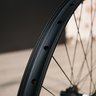 DT SWISS Rear Wheel 350 12/148 Hub / FR541 30W 32H RIM